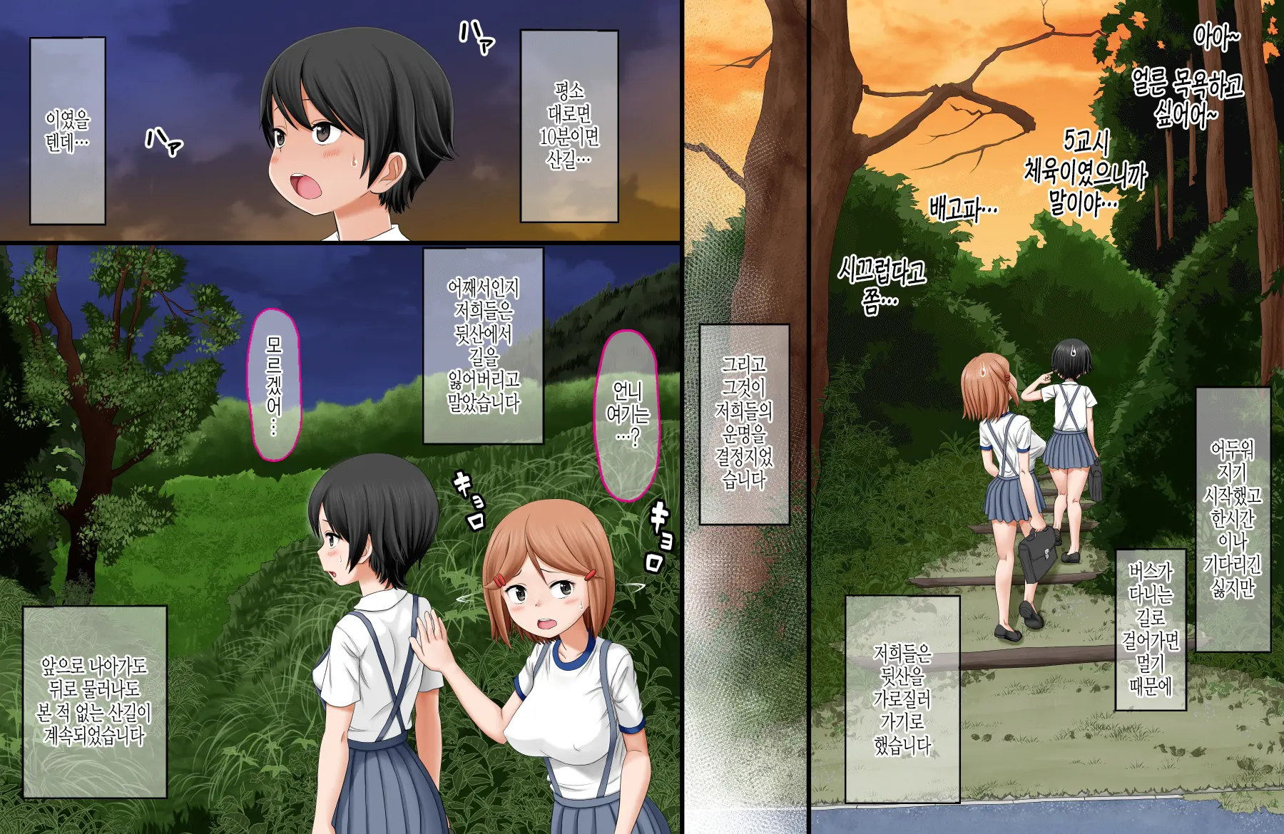 Ikai Yomeiri Kitan ~Gakkou Gaeri Ni Mayoikonde Kaibutsu-Tachi Ni Iroiro Sarechatta Shimai No Hanashi~ | 이괴 가입 기담 ~하교길에 이계로 흘러들어가 괴물들에게 여러가지로 당해버린 자매의 이야기~